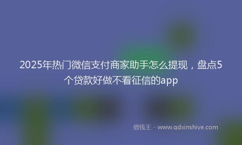2025年热门微信支付商家助手怎么提现，盘点5个贷款好做不看征信的app