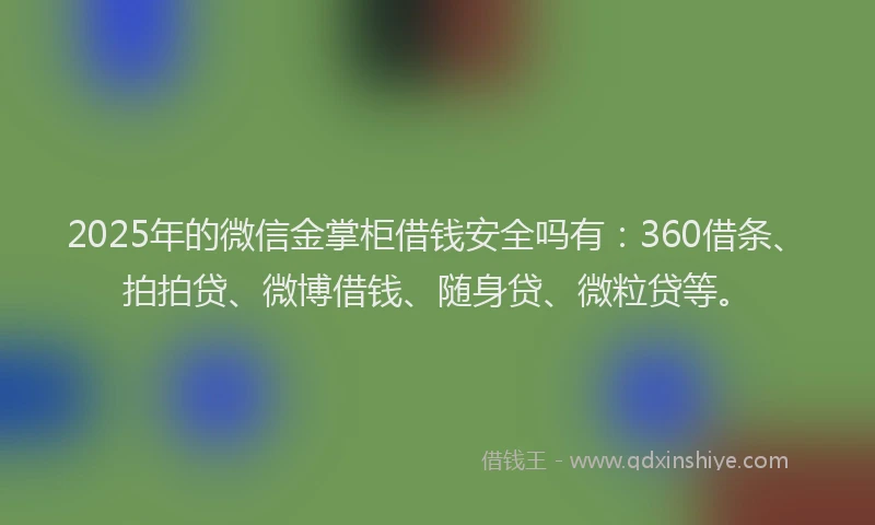 2025年的微信金掌柜借钱安全吗有：360借条、拍拍贷、微博借钱、随身贷、微粒贷等。