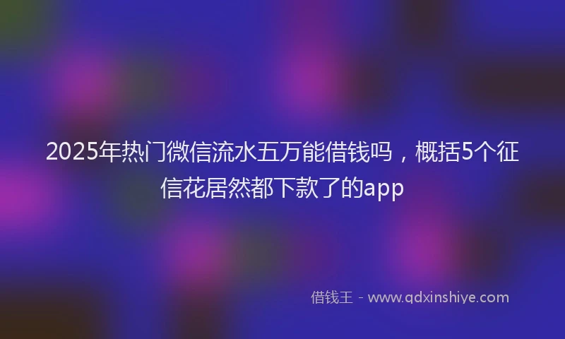 2025年热门微信流水五万能借钱吗，概括5个征信花居然都下款了的app