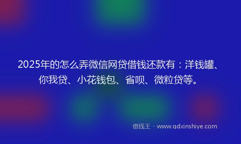 2025年的怎么弄微信网贷借钱还款有：洋钱罐、你我贷、小花钱包、省呗、微粒贷等。