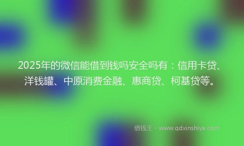 2025年的微信能借到钱吗安全吗有：信用卡贷、洋钱罐、中原消费金融、惠商贷、柯基贷等。