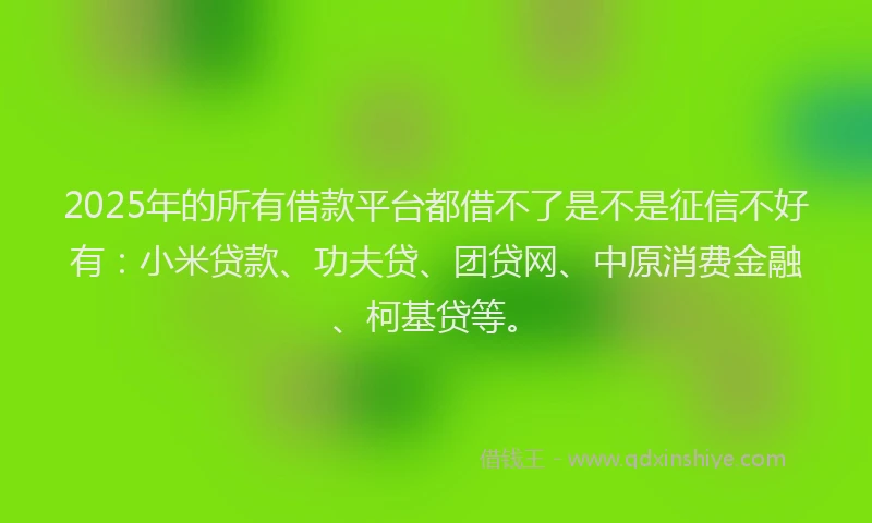 2025年的所有借款平台都借不了是不是征信不好有：小米贷款、功夫贷、团贷网、中原消费金融、柯基贷等。