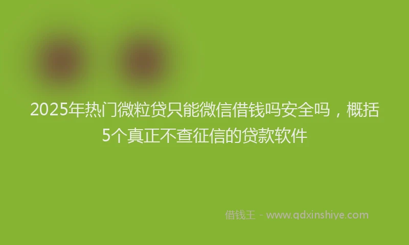 2025年热门微粒贷只能微信借钱吗安全吗，概括5个真正不查征信的贷款软件