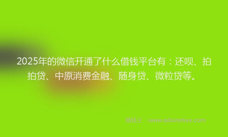 2025年的微信开通了什么借钱平台有：还呗、拍拍贷、中原消费金融、随身贷、微粒贷等。