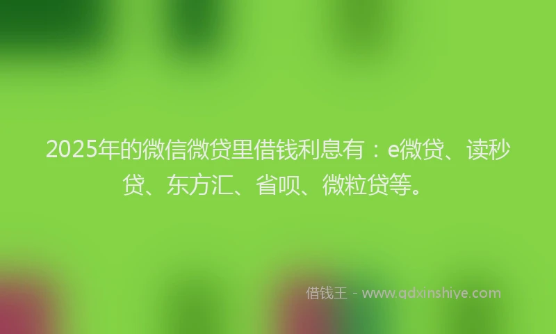 2025年的微信微贷里借钱利息有：e微贷、读秒贷、东方汇、省呗、微粒贷等。