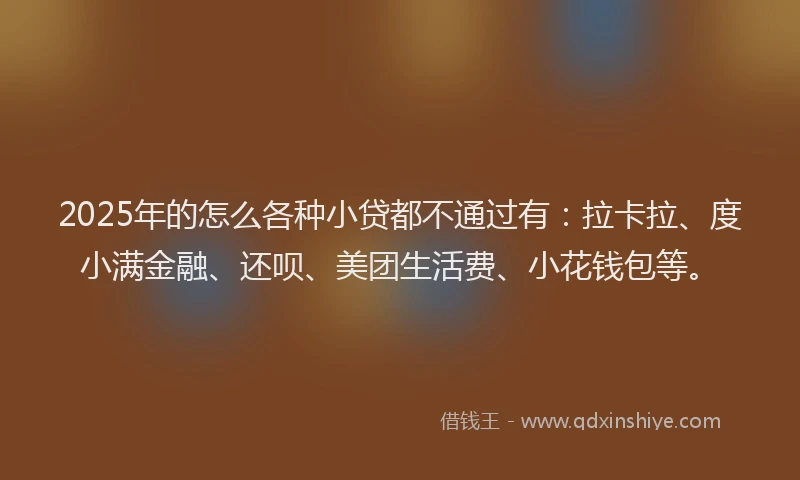 2025年的怎么各种小贷都不通过有：拉卡拉、度小满金融、还呗、美团生活费、小花钱包等。