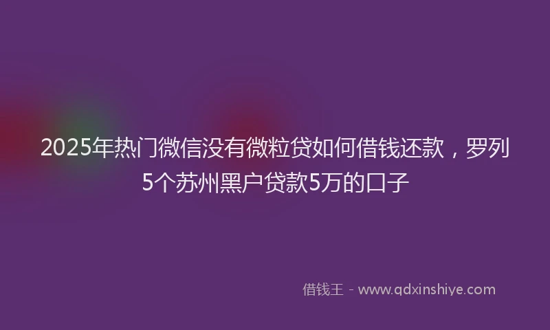 2025年热门微信没有微粒贷如何借钱还款，罗列5个苏州黑户贷款5万的口子