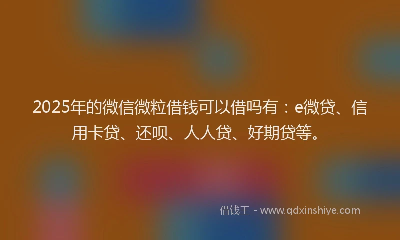 2025年的微信微粒借钱可以借吗有：e微贷、信用卡贷、还呗、人人贷、好期贷等。