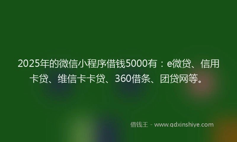 2025年的微信小程序借钱5000有：e微贷、信用卡贷、维信卡卡贷、360借条、团贷网等。