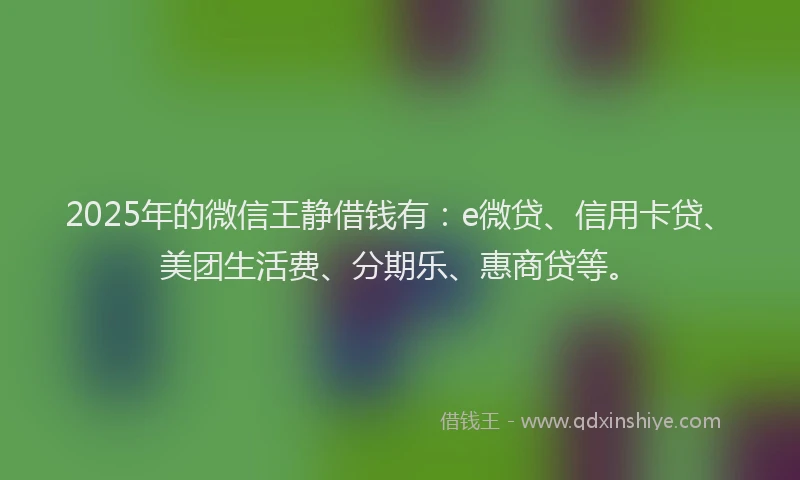 2025年的微信王静借钱有：e微贷、信用卡贷、美团生活费、分期乐、惠商贷等。