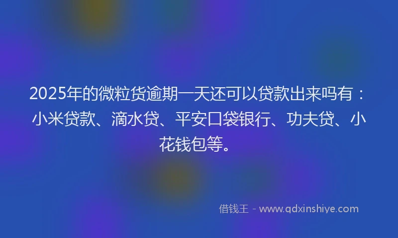 2025年的微粒货逾期一天还可以贷款出来吗有：小米贷款、滴水贷、平安口袋银行、功夫贷、小花钱包等。