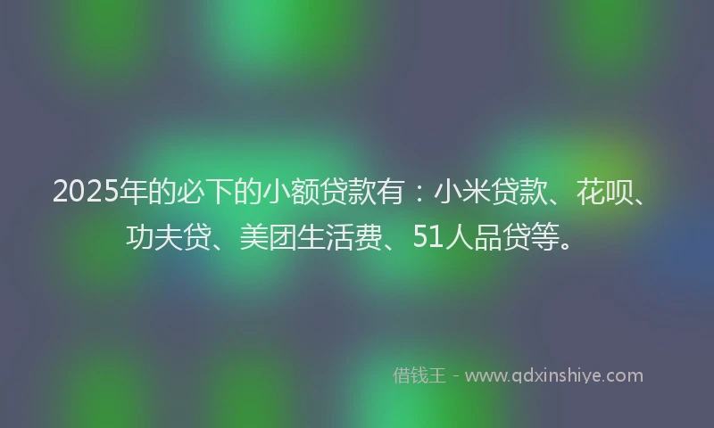 2025年的必下的小额贷款有：小米贷款、花呗、功夫贷、美团生活费、51人品贷等。