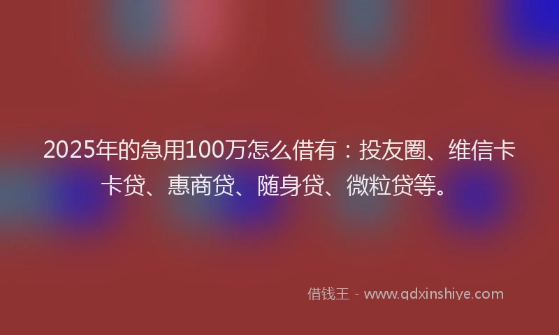 2025年的急用100万怎么借有：投友圈、维信卡卡贷、惠商贷、随身贷、微粒贷等。