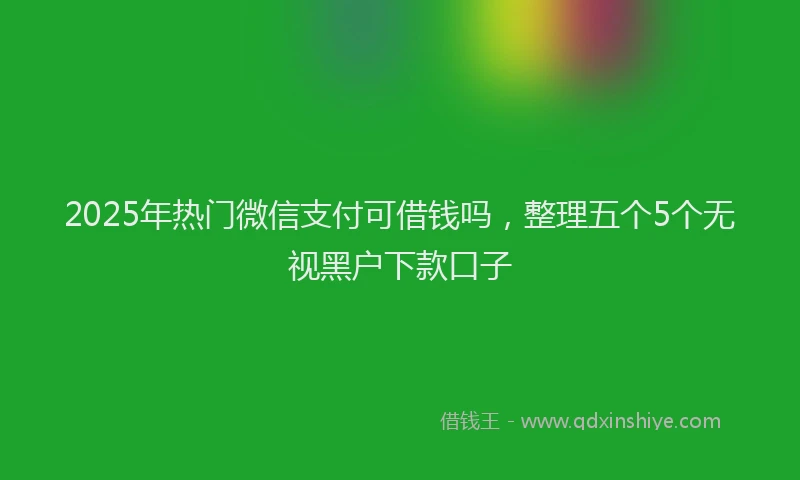 2025年热门微信支付可借钱吗，整理五个5个无视黑户下款口子