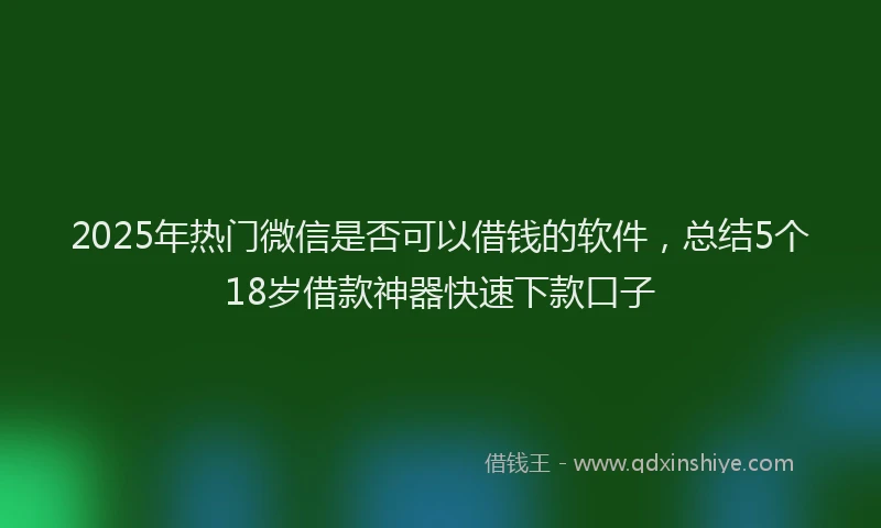 2025年热门微信是否可以借钱的软件，总结5个18岁借款神器快速下款口子