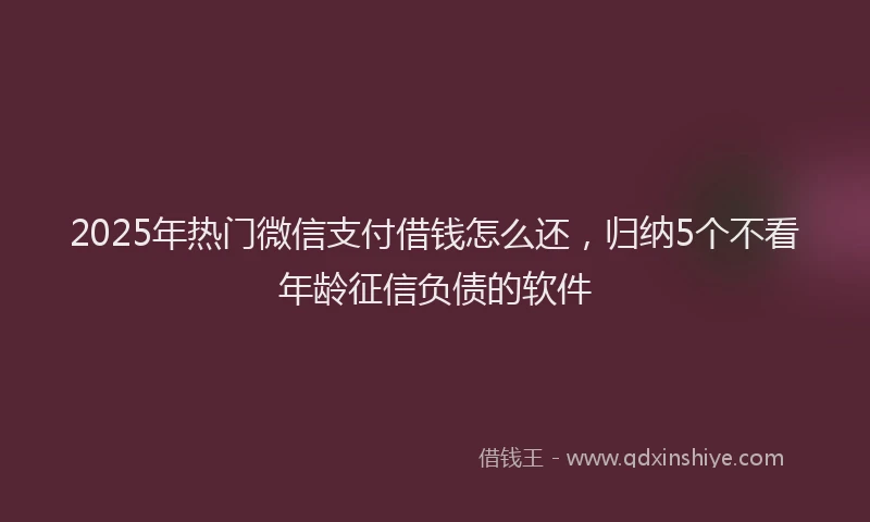 2025年热门微信支付借钱怎么还，归纳5个不看年龄征信负债的软件