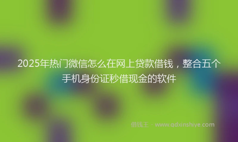 2025年热门微信怎么在网上贷款借钱，整合五个手机身份证秒借现金的软件