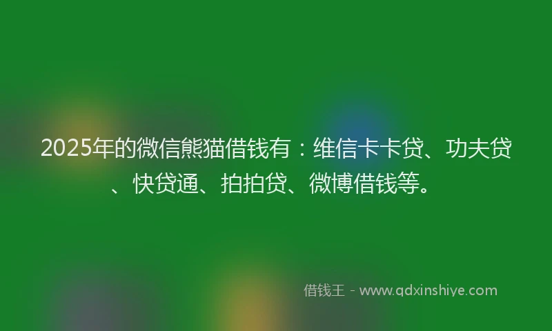 2025年的微信熊猫借钱有：维信卡卡贷、功夫贷、快贷通、拍拍贷、微博借钱等。