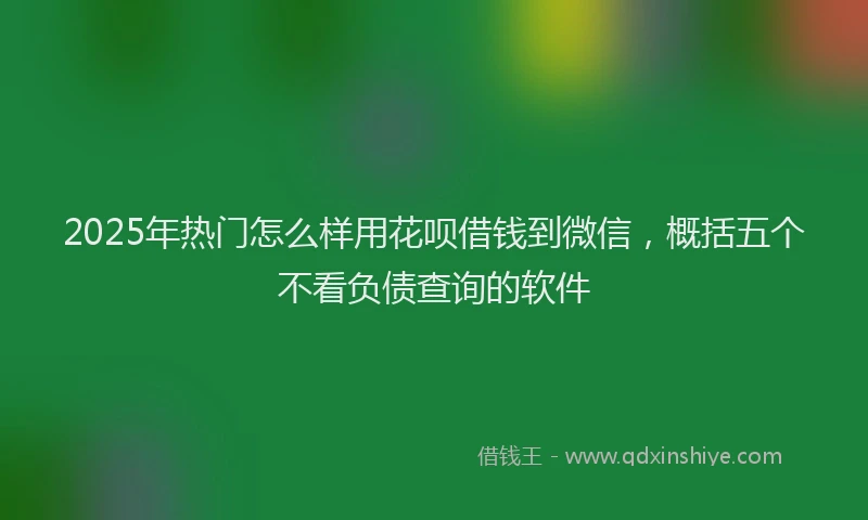 2025年热门怎么样用花呗借钱到微信，概括五个不看负债查询的软件