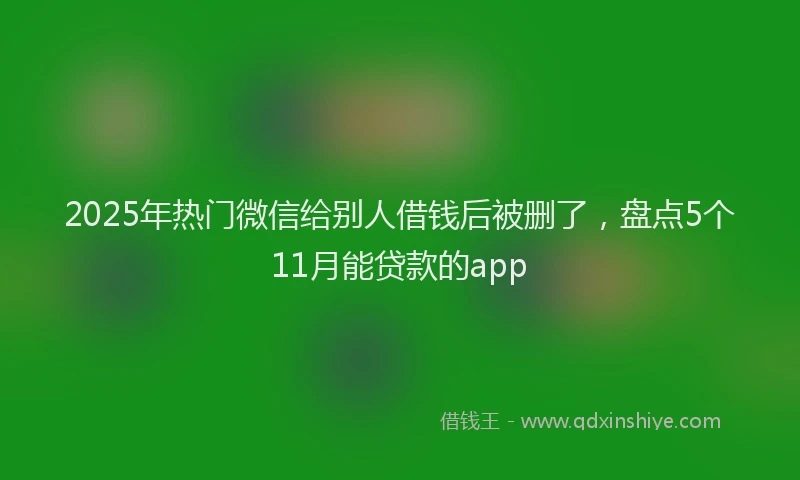 2025年热门微信给别人借钱后被删了，盘点5个11月能贷款的app