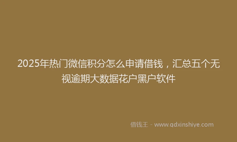 2025年热门微信积分怎么申请借钱，汇总五个无视逾期大数据花户黑户软件