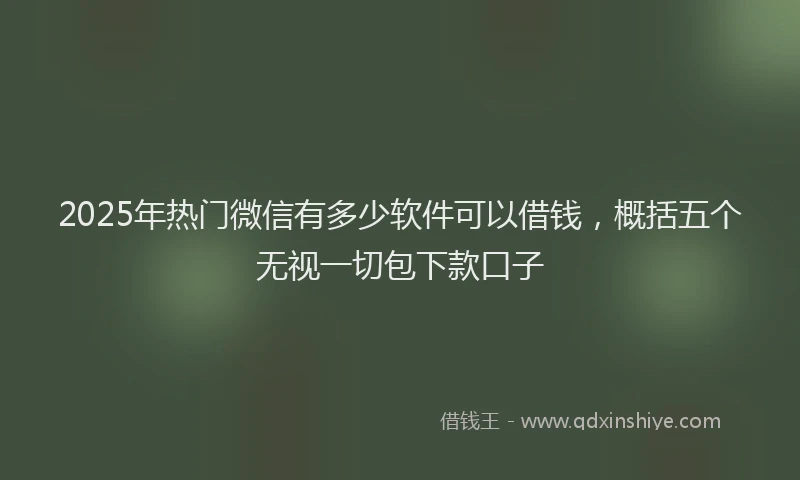 2025年热门微信有多少软件可以借钱，概括五个无视一切包下款口子
