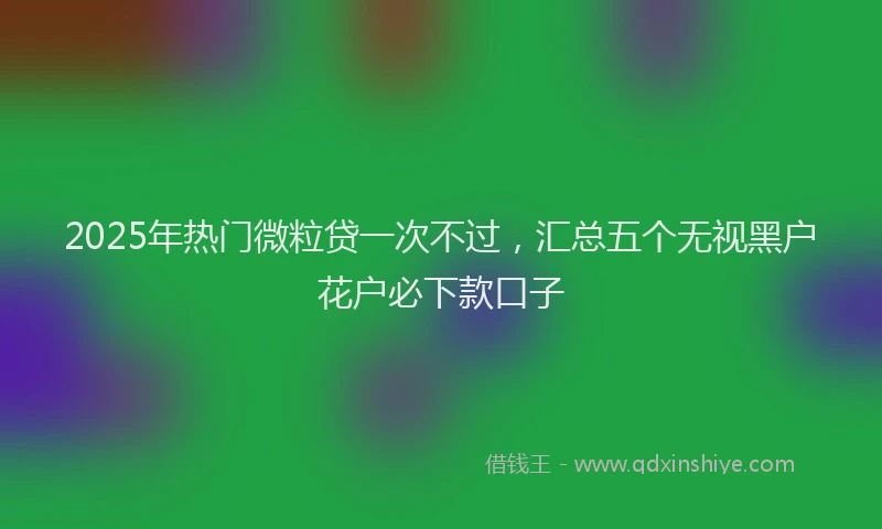 2025年热门微粒贷一次不过，汇总五个无视黑户花户必下款口子