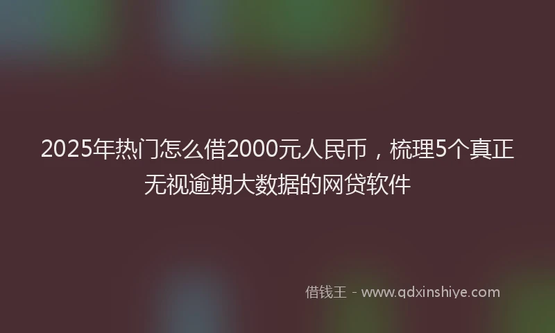 2025年热门怎么借2000元人民币，梳理5个真正无视逾期大数据的网贷软件