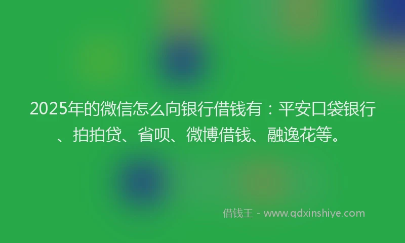 2025年的微信怎么向银行借钱有：平安口袋银行、拍拍贷、省呗、微博借钱、融逸花等。