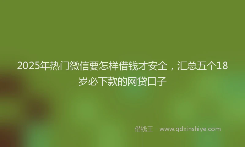 2025年热门微信要怎样借钱才安全，汇总五个18岁必下款的网贷口子