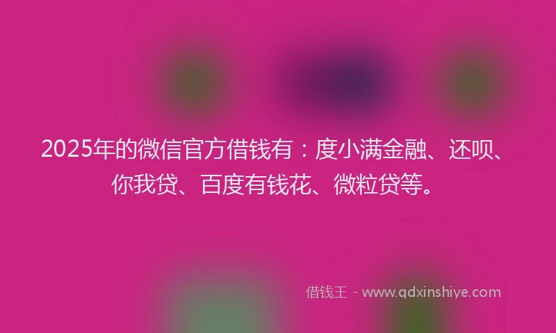 2025年的微信官方借钱有：度小满金融、还呗、你我贷、百度有钱花、微粒贷等。