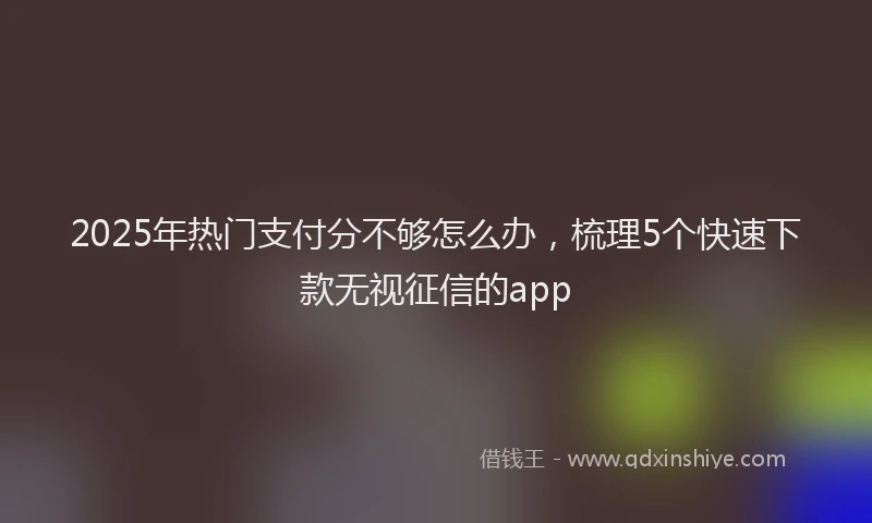 2025年热门支付分不够怎么办，梳理5个快速下款无视征信的app