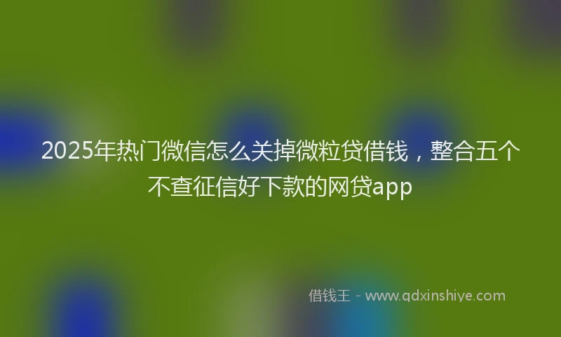 2025年热门微信怎么关掉微粒贷借钱，整合五个不查征信好下款的网贷app