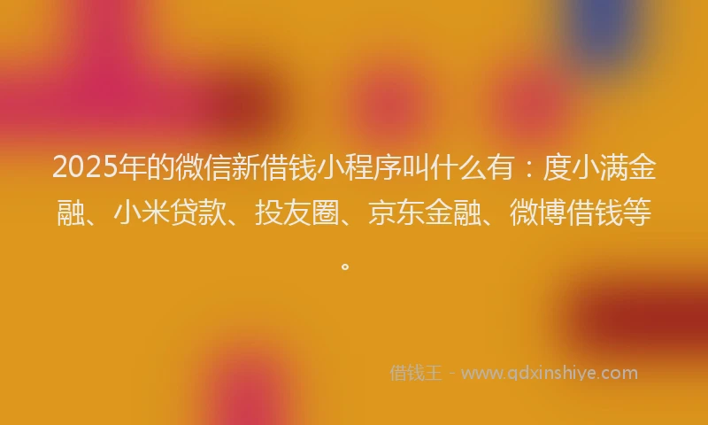 2025年的微信新借钱小程序叫什么有：度小满金融、小米贷款、投友圈、京东金融、微博借钱等。