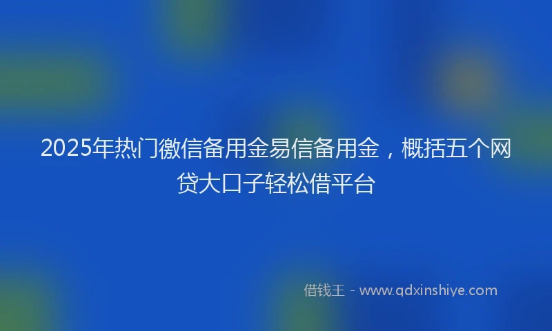 2025年热门徼信备用金易信备用金，概括五个网贷大口子轻松借平台