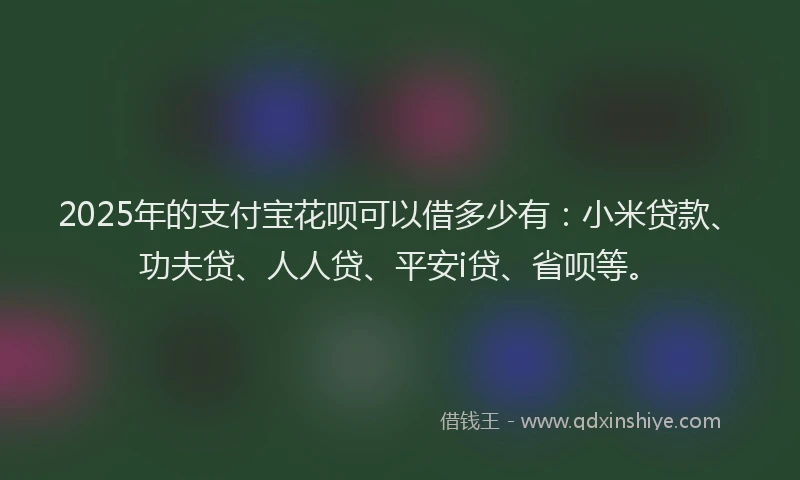 2025年的支付宝花呗可以借多少有：小米贷款、功夫贷、人人贷、平安i贷、省呗等。