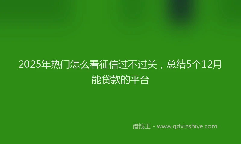 2025年热门怎么看征信过不过关，总结5个12月能贷款的平台