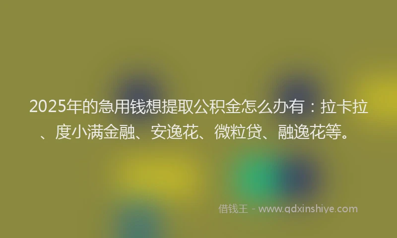 2025年的急用钱想提取公积金怎么办有:拉卡拉、度小满金融、安逸花、微粒贷、融逸花等。