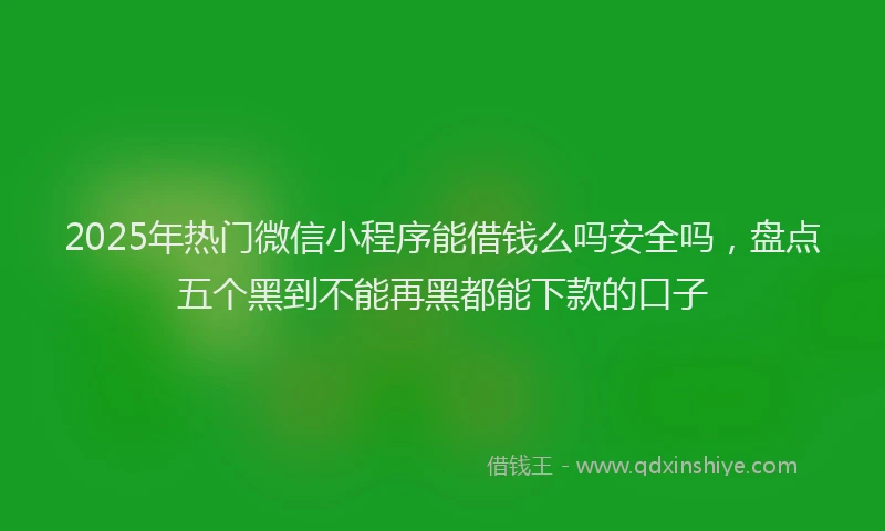 2025年热门微信小程序能借钱么吗安全吗，盘点五个黑到不能再黑都能下款的口子
