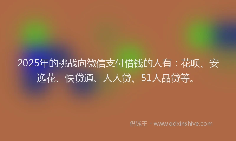 2025年的挑战向微信支付借钱的人有：花呗、安逸花、快贷通、人人贷、51人品贷等。