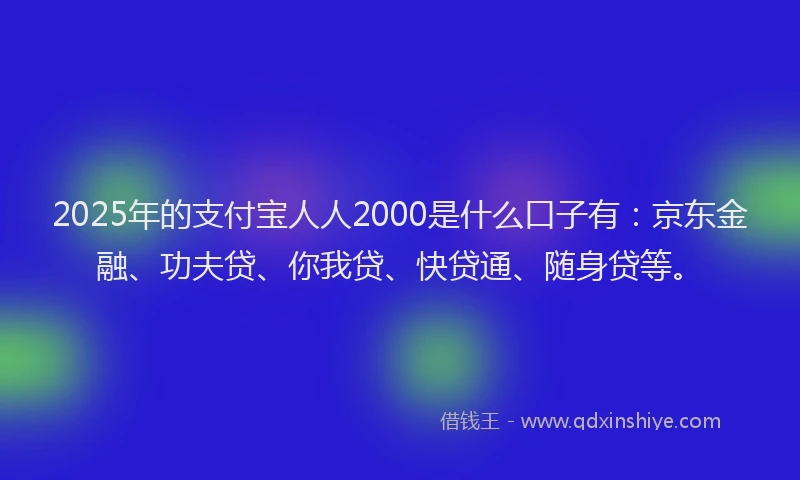 2025年的支付宝人人2000是什么口子有：京东金融、功夫贷、你我贷、快贷通、随身贷等。