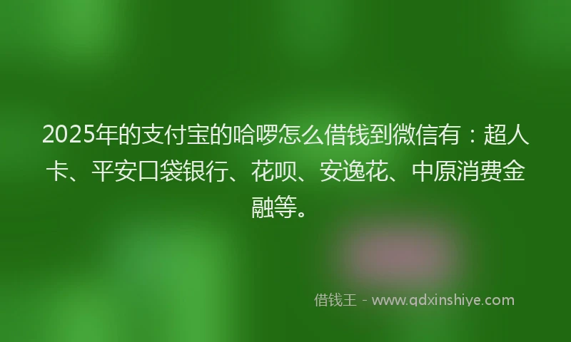 2025年的支付宝的哈啰怎么借钱到微信有：超人卡、平安口袋银行、花呗、安逸花、中原消费金融等。