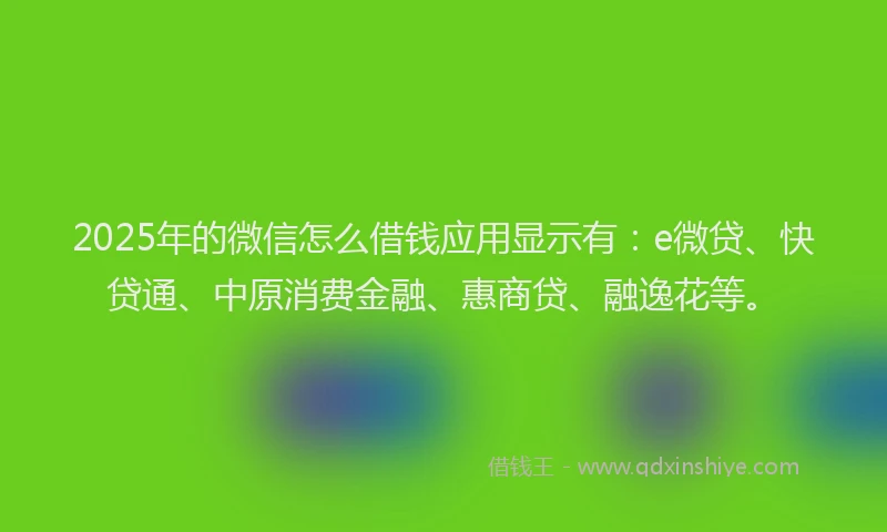 2025年的微信怎么借钱应用显示有：e微贷、快贷通、中原消费金融、惠商贷、融逸花等。