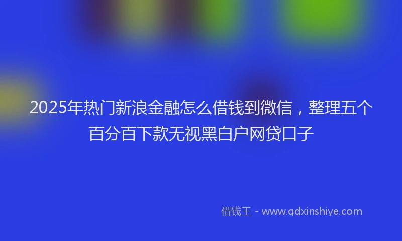 2025年热门新浪金融怎么借钱到微信，整理五个百分百下款无视黑白户网贷口子