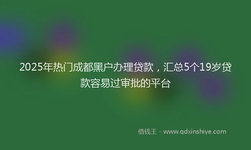 2025年热门成都黑户办理贷款，汇总5个19岁贷款容易过审批的平台