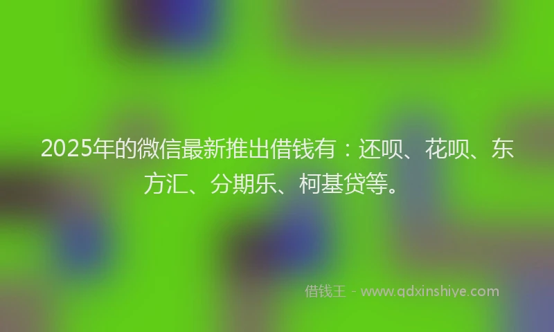 2025年的微信最新推出借钱有：还呗、花呗、东方汇、分期乐、柯基贷等。