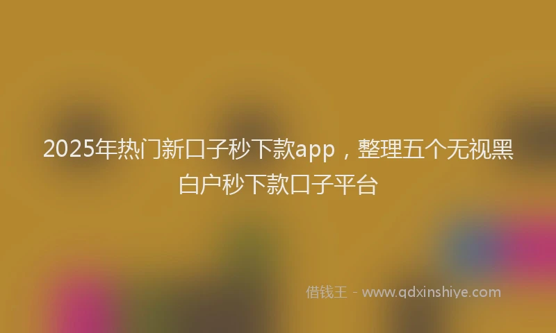 2025年热门新口子秒下款app，整理五个无视黑白户秒下款口子平台
