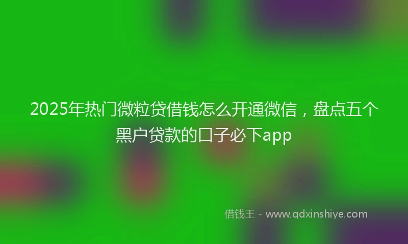 2025年热门微粒贷借钱怎么开通微信，盘点五个黑户贷款的口子必下app