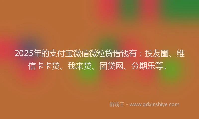 2025年的支付宝微信微粒贷借钱有：投友圈、维信卡卡贷、我来贷、团贷网、分期乐等。