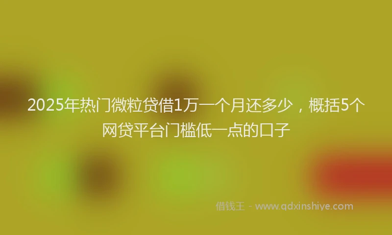 2025年热门微粒贷借1万一个月还多少，概括5个网贷平台门槛低一点的口子